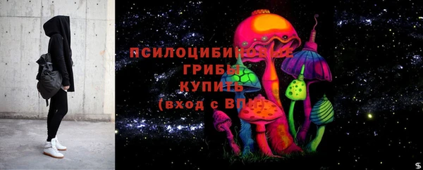 гидра Аркадак