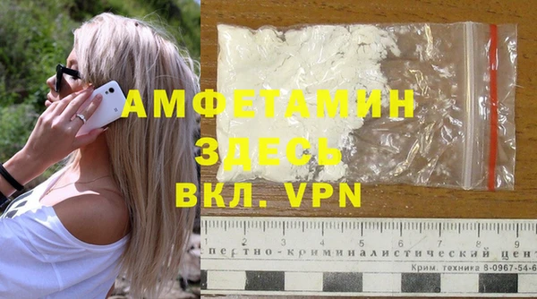 молекула духа Арсеньев