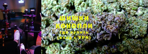 молекула духа Арсеньев