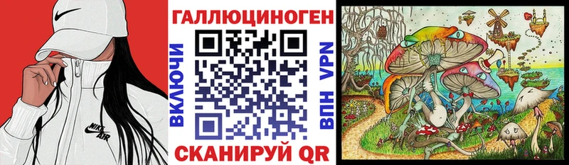 Псилоцибиновые грибы Psilocybe Макарьев